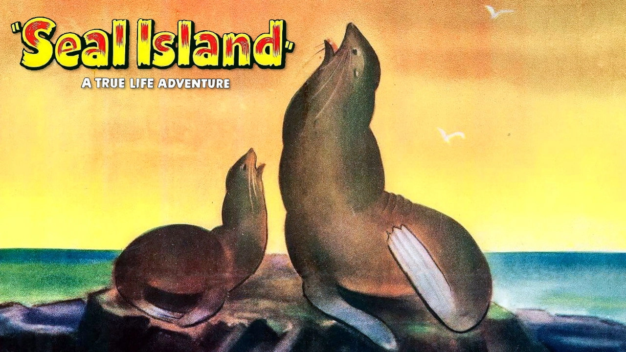 Seal Island