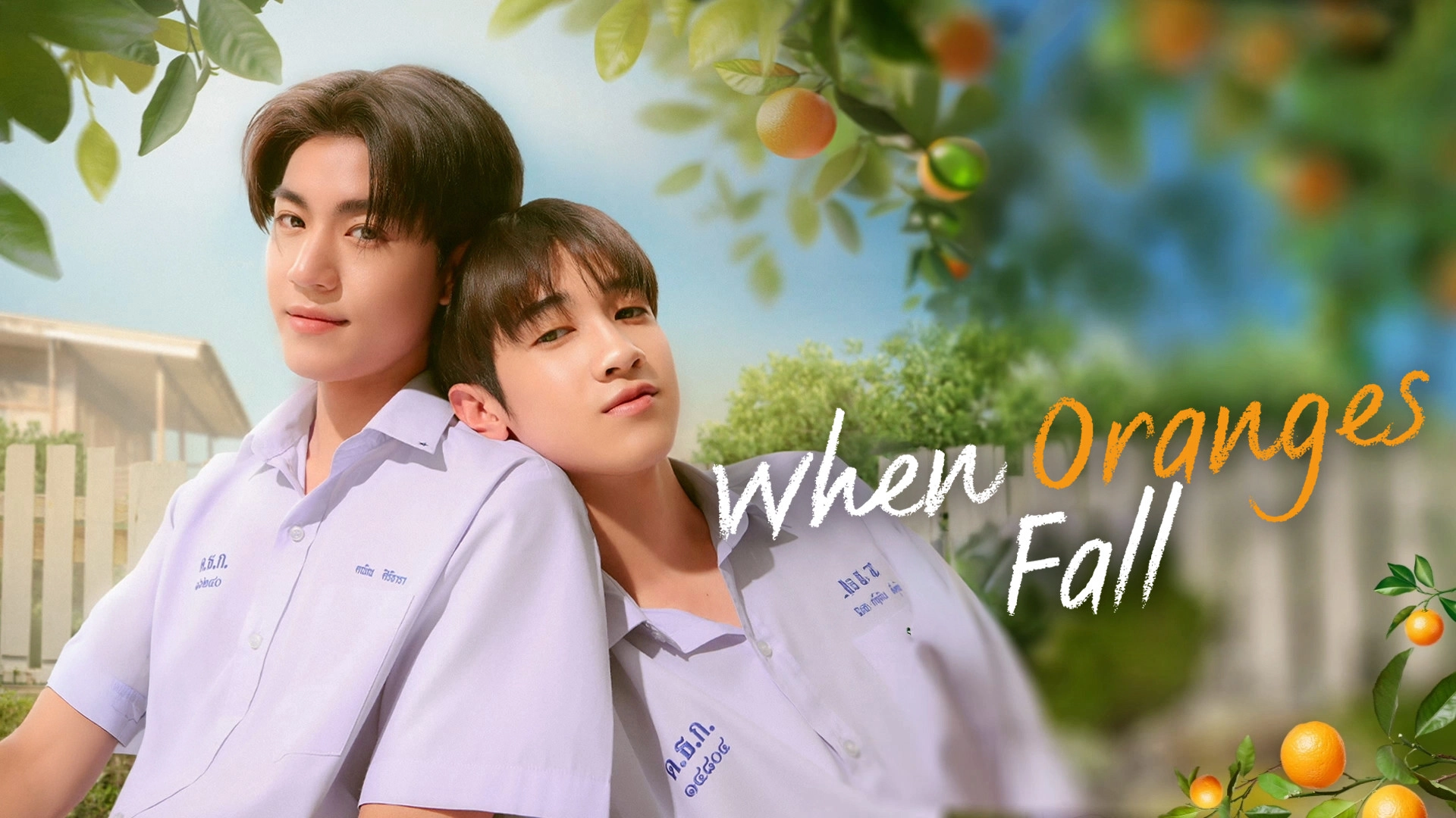 When Oranges Fall