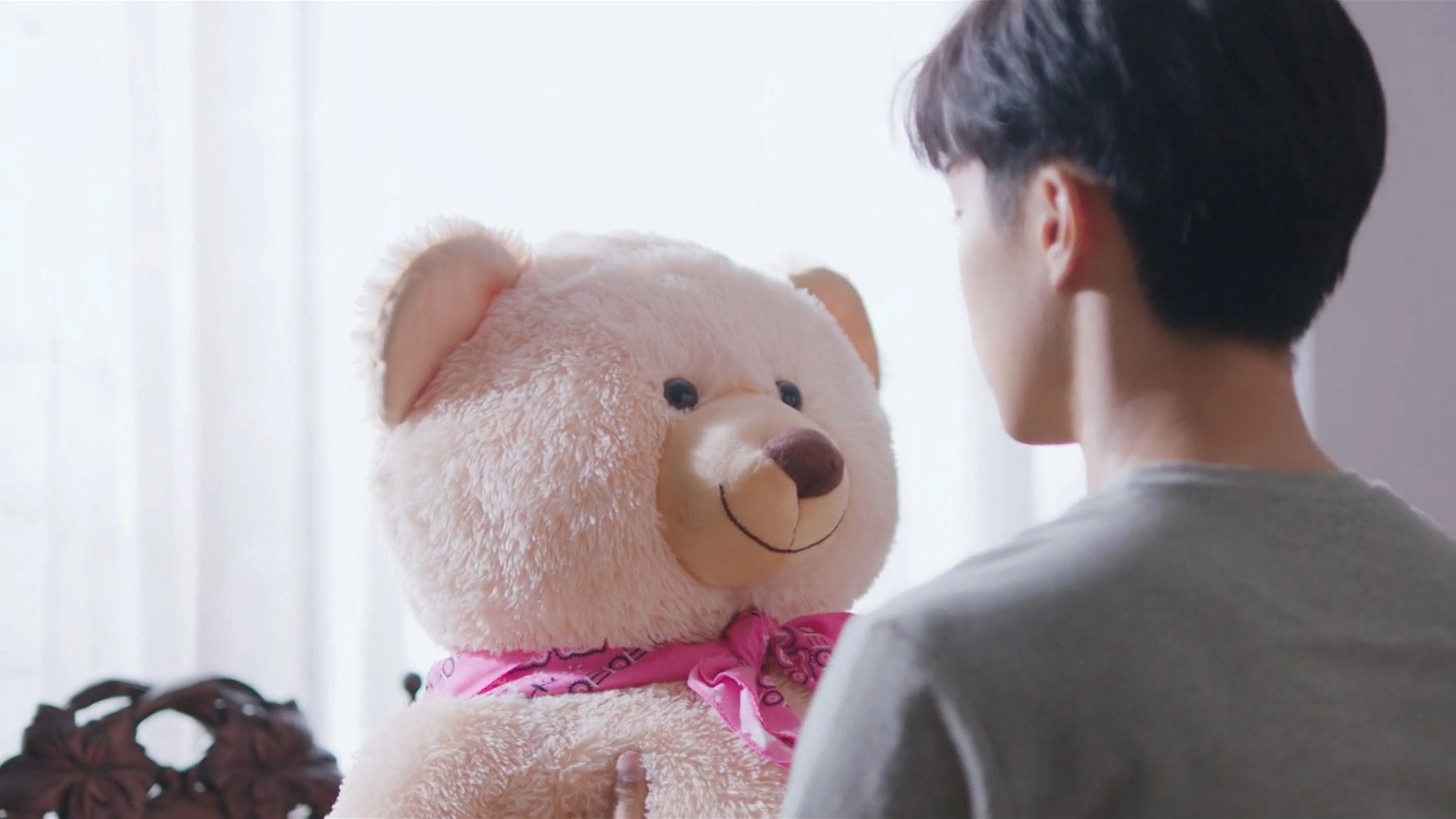 The Miracle of Teddy Bear