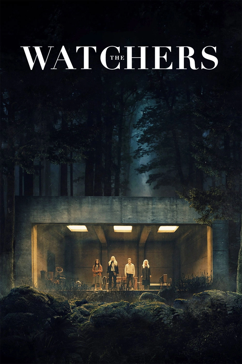 The Watchers
