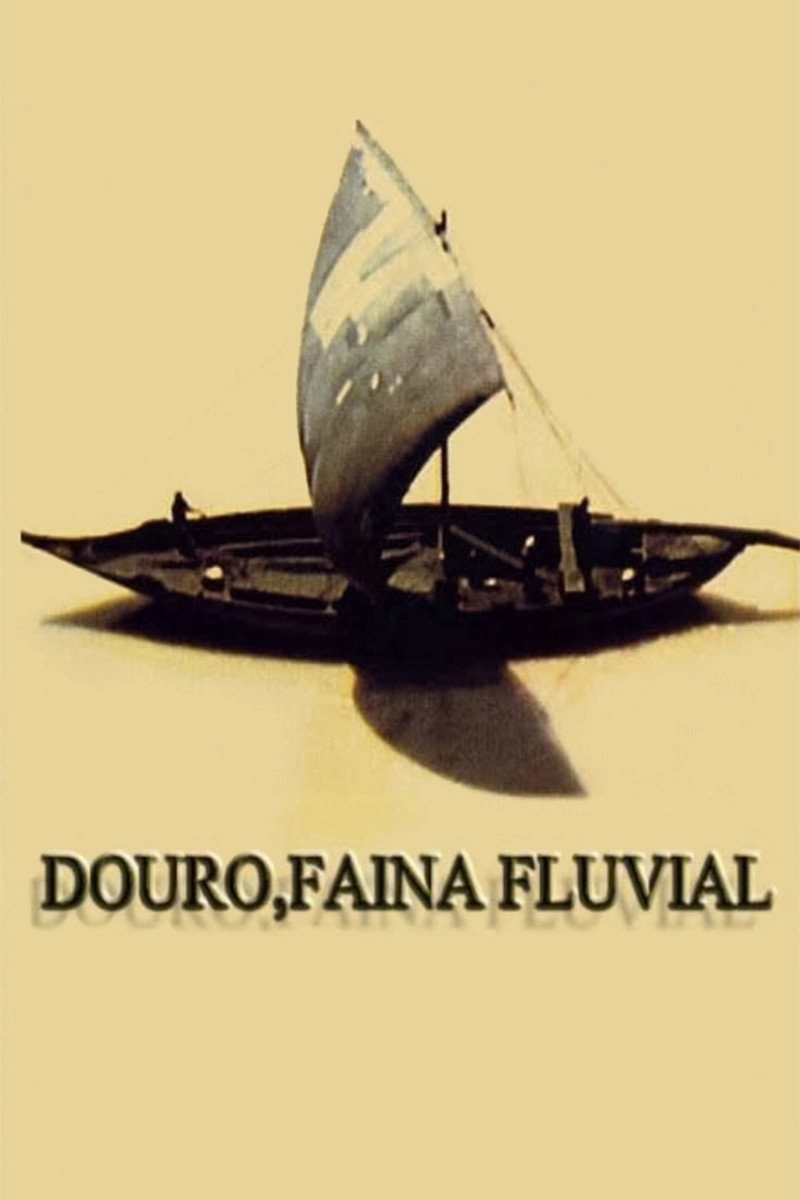 Working on the Douro River