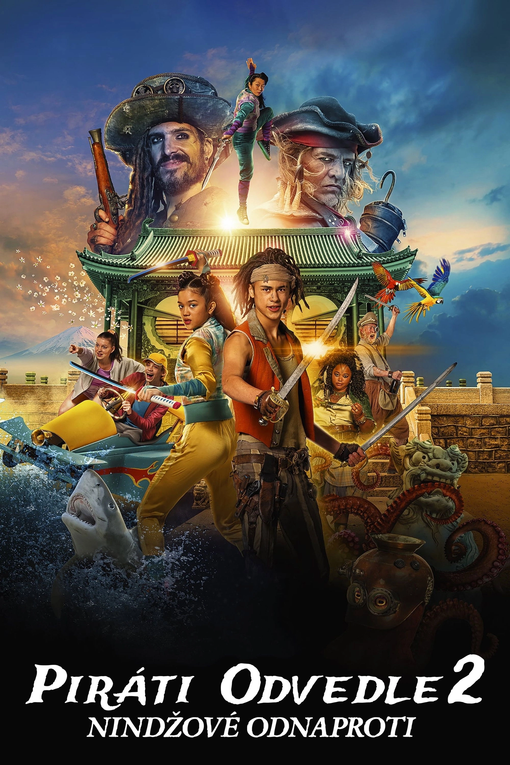 Pirates Down the Street II: The Ninjas from Across