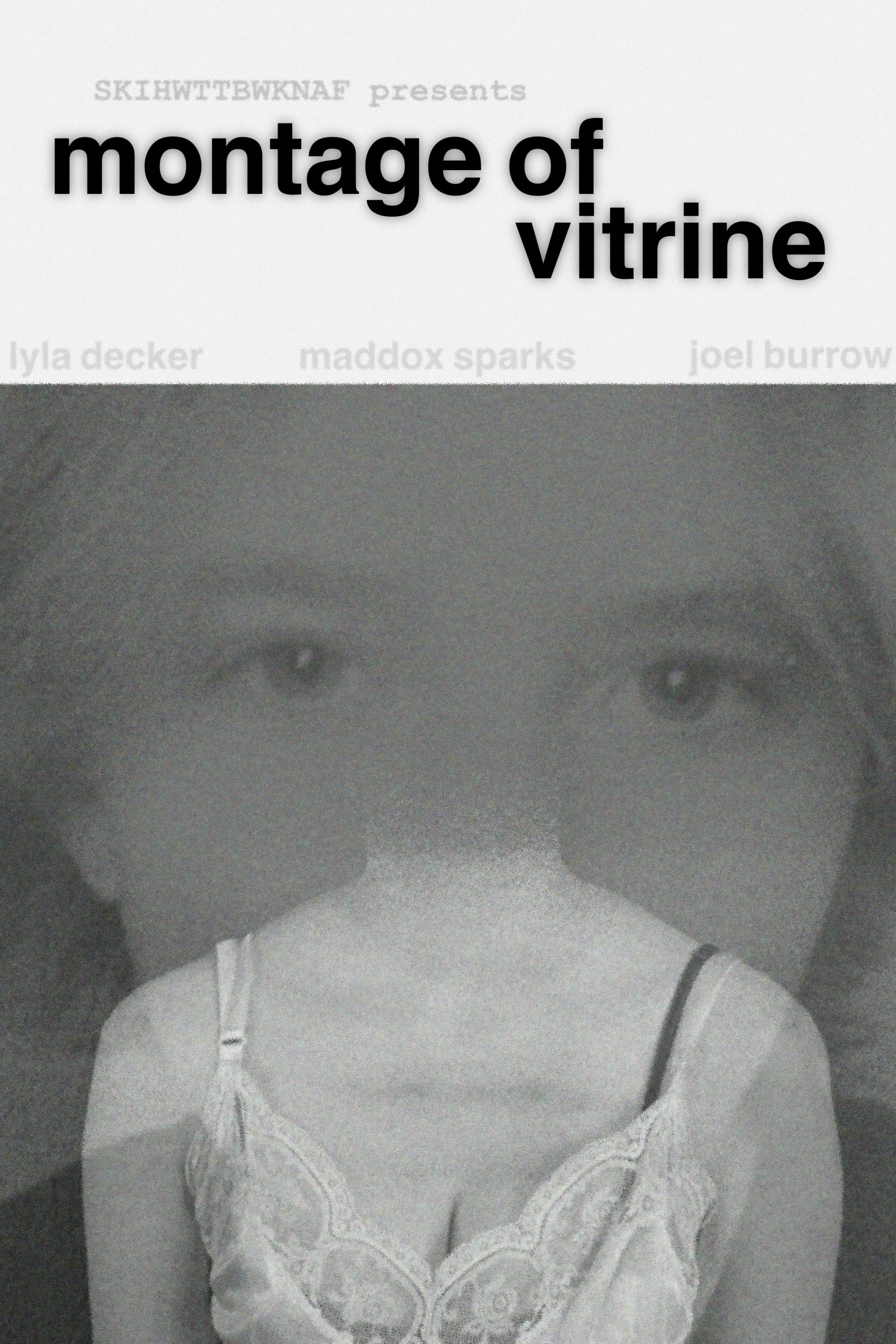 Montage of Vitrine