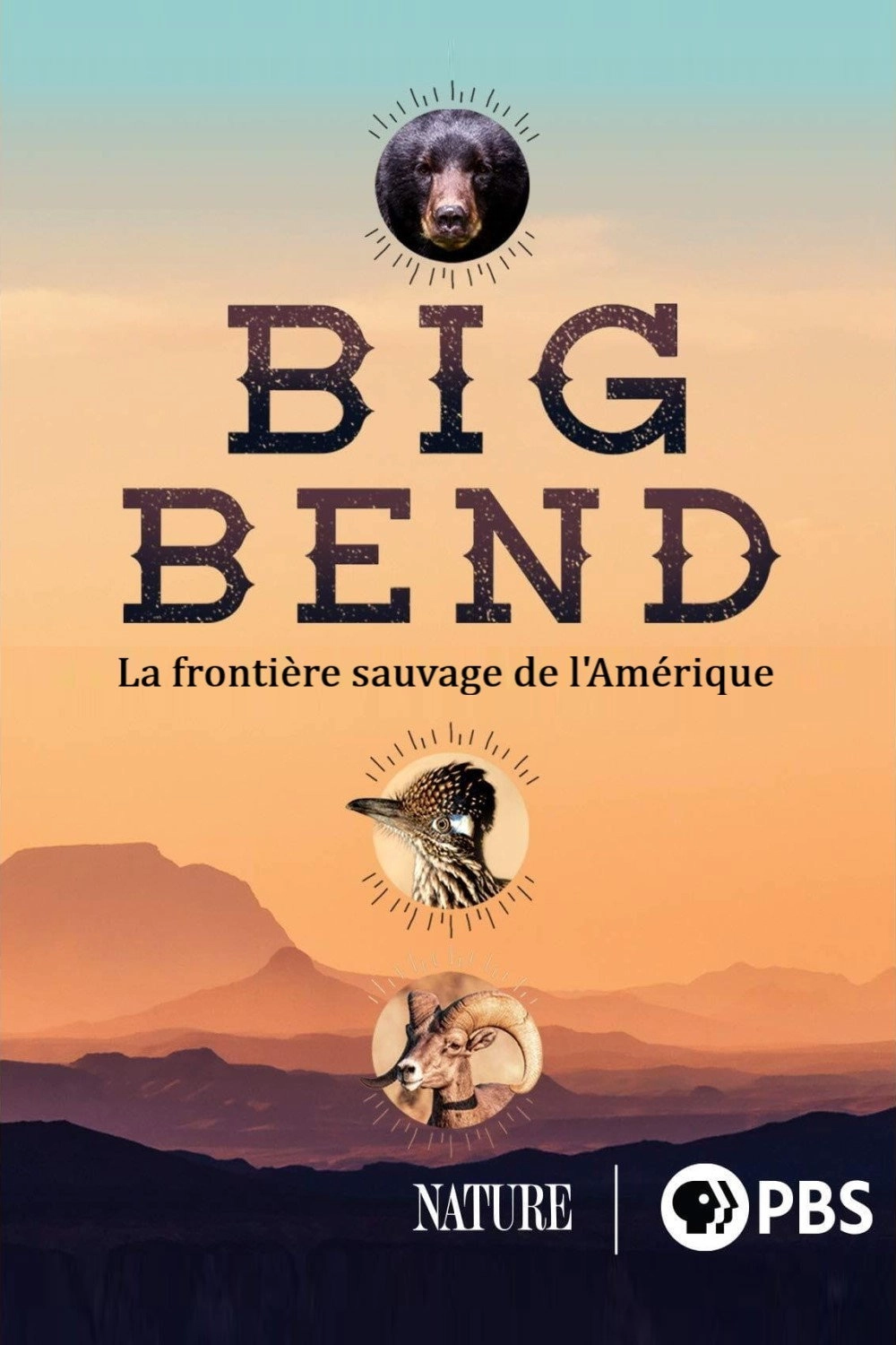 Big Bend: The Wild Frontier of Texas