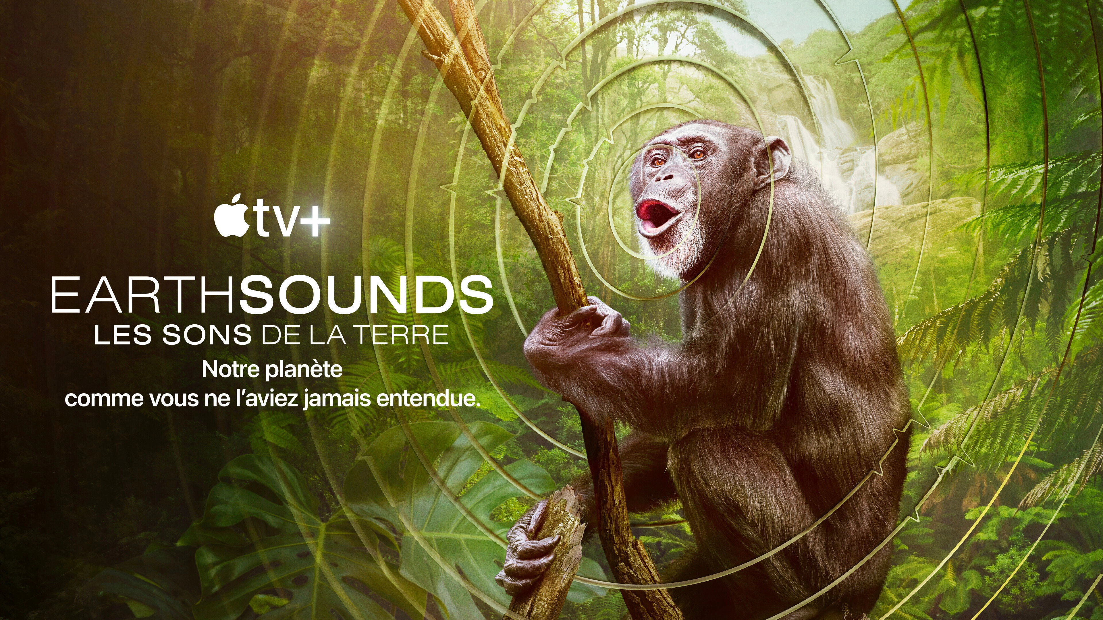 Earthsounds