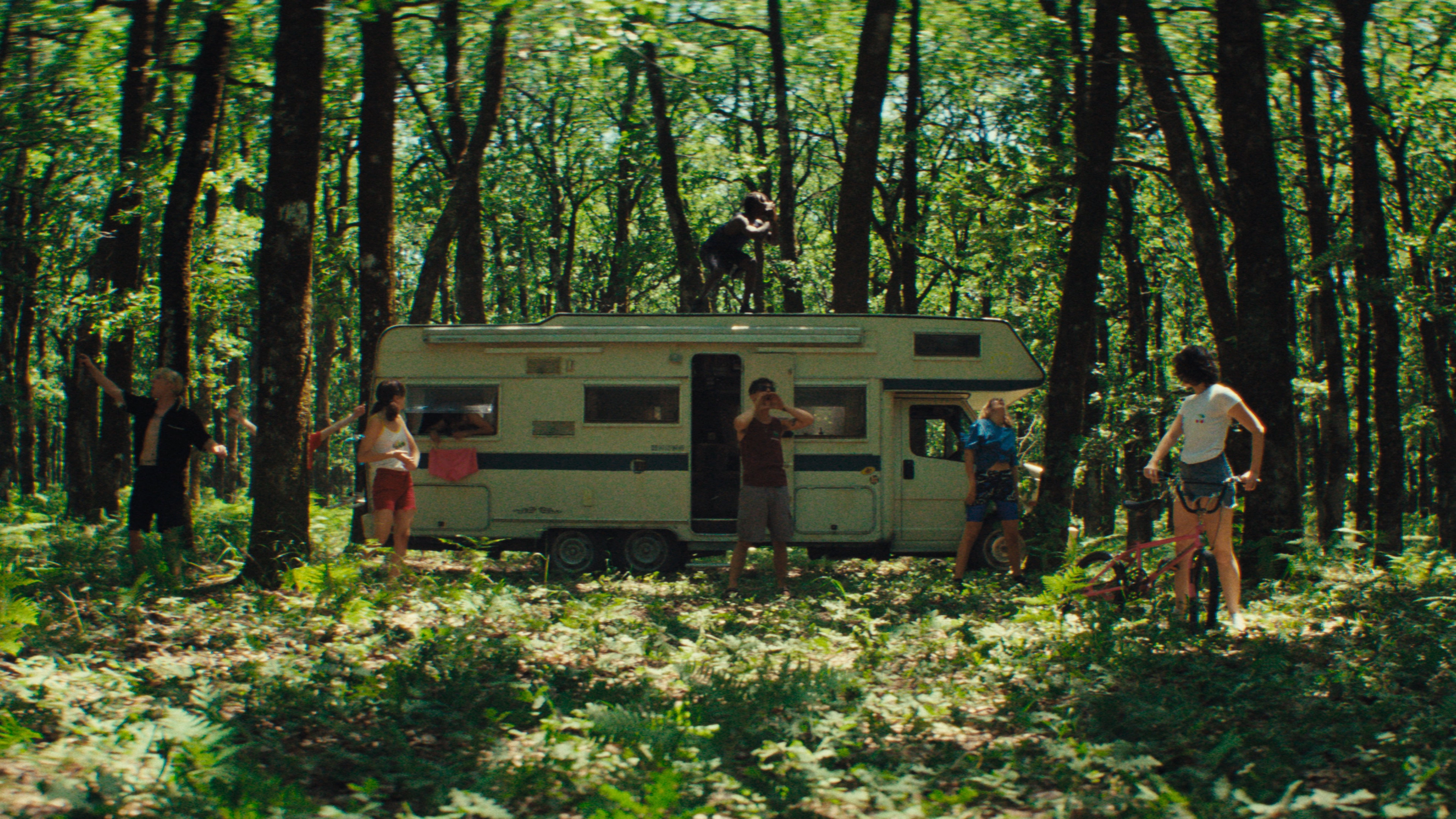 Our Wildest Days