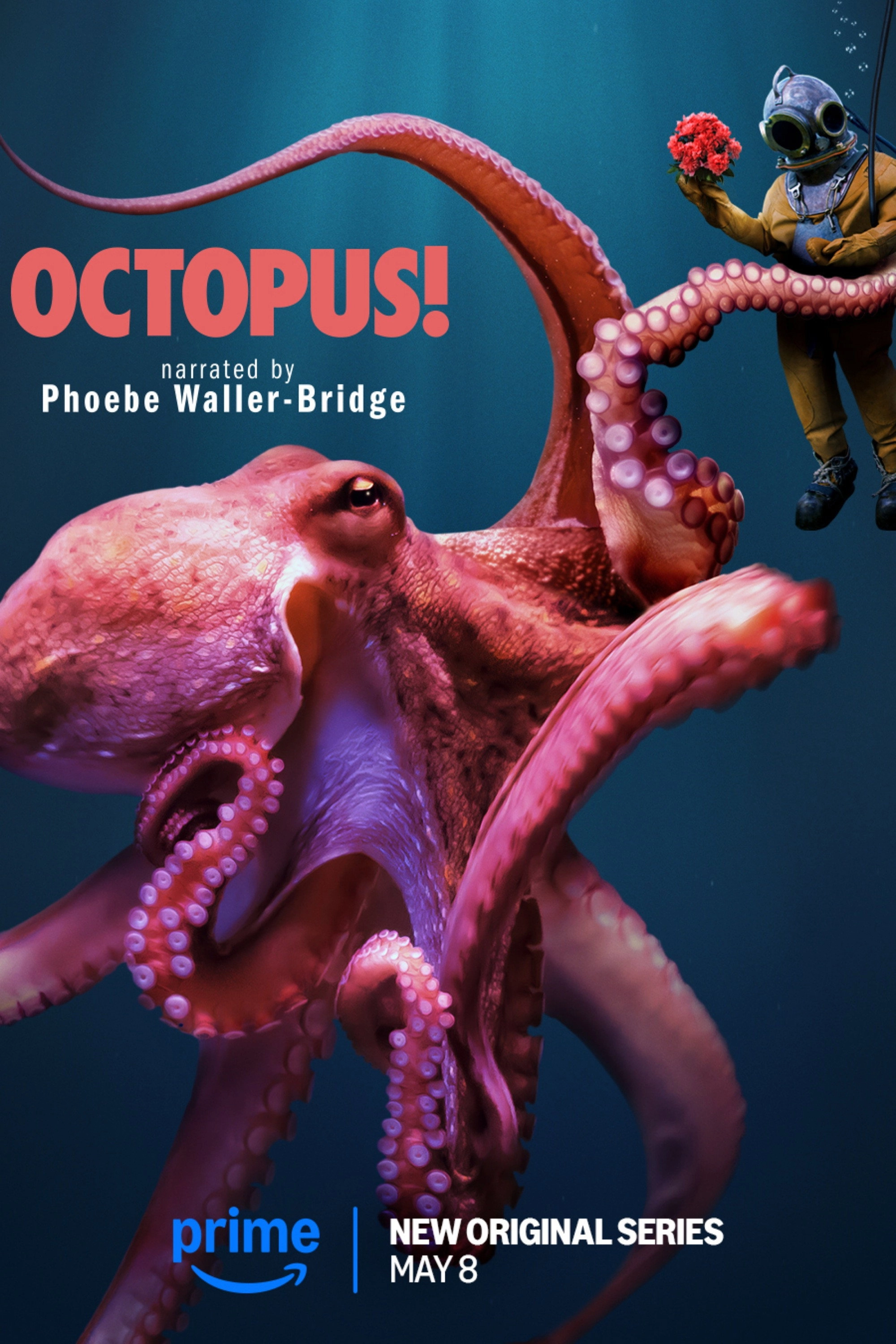 Octopus!