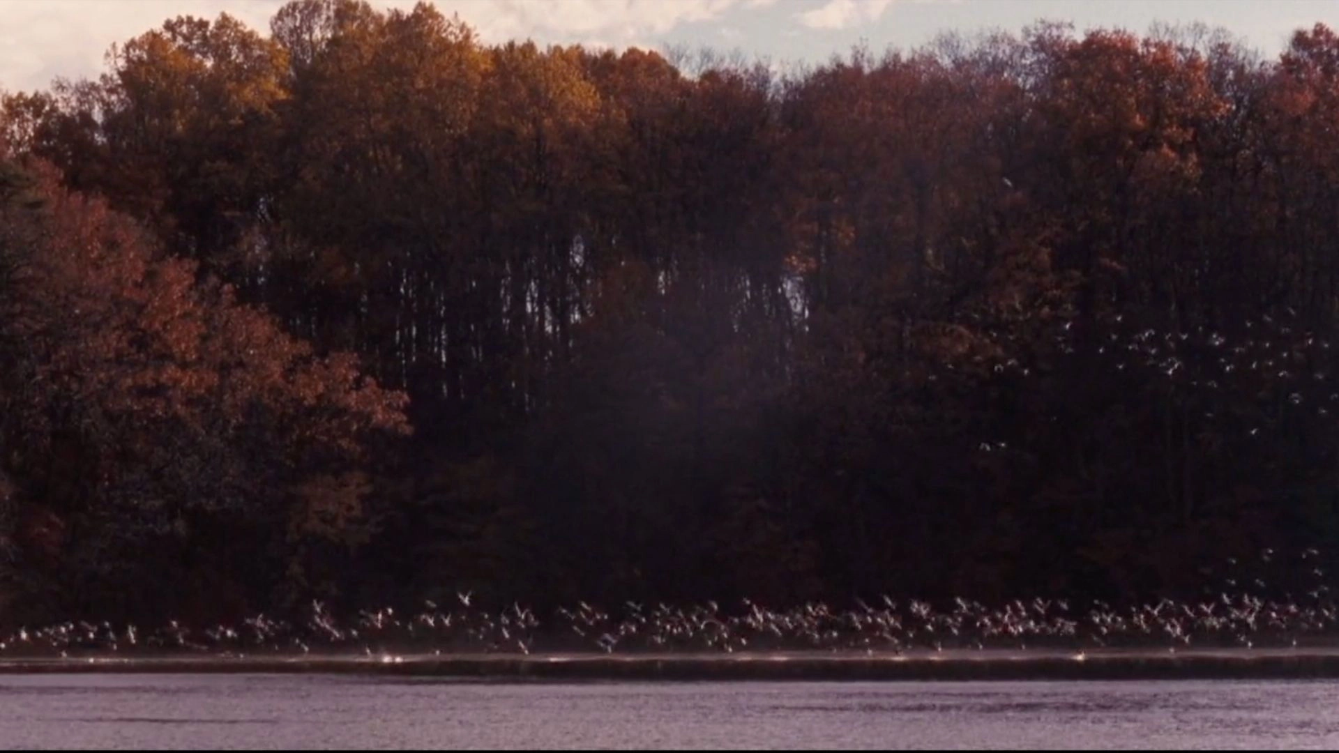 Dead Poets Society