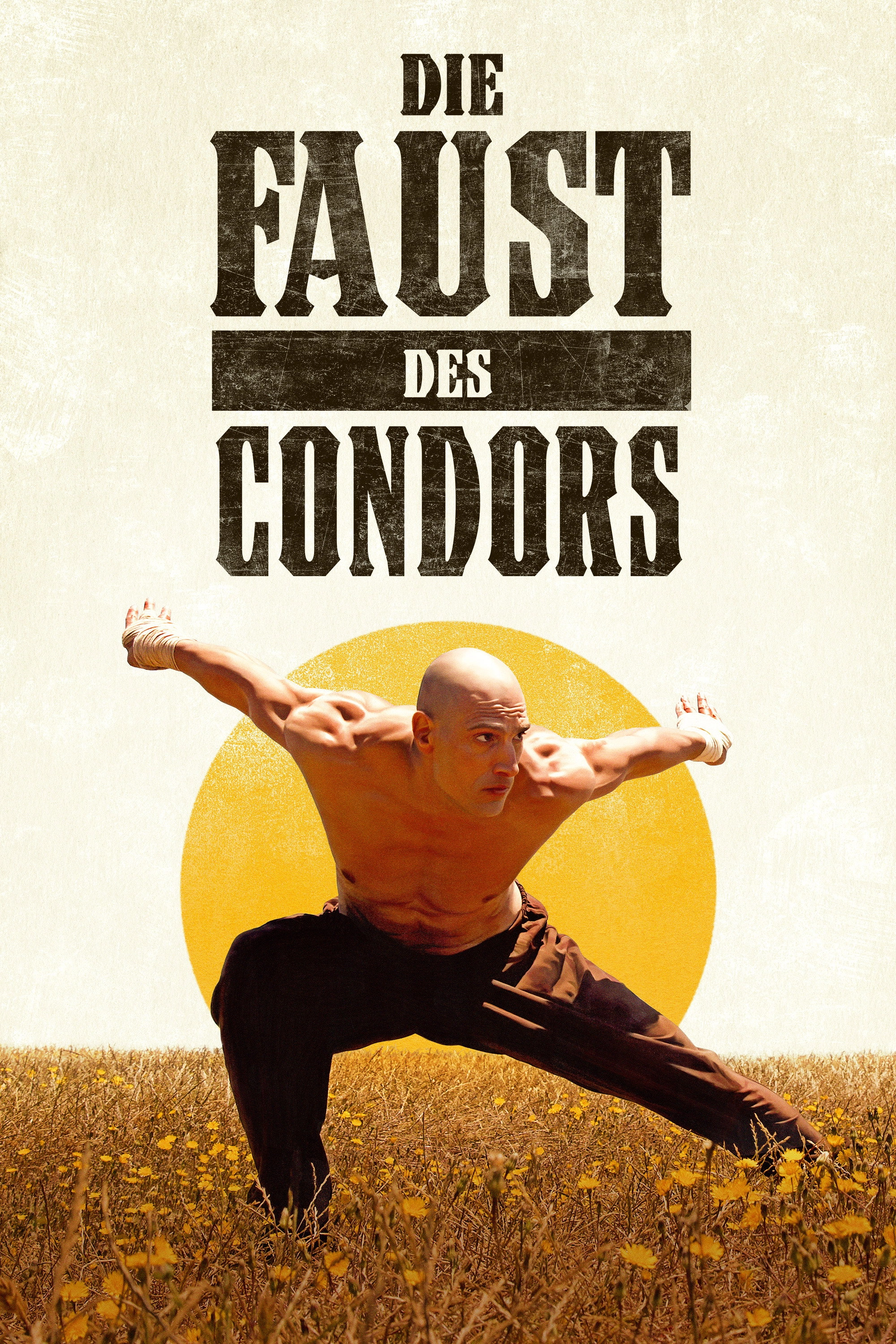 Fist of the Condor