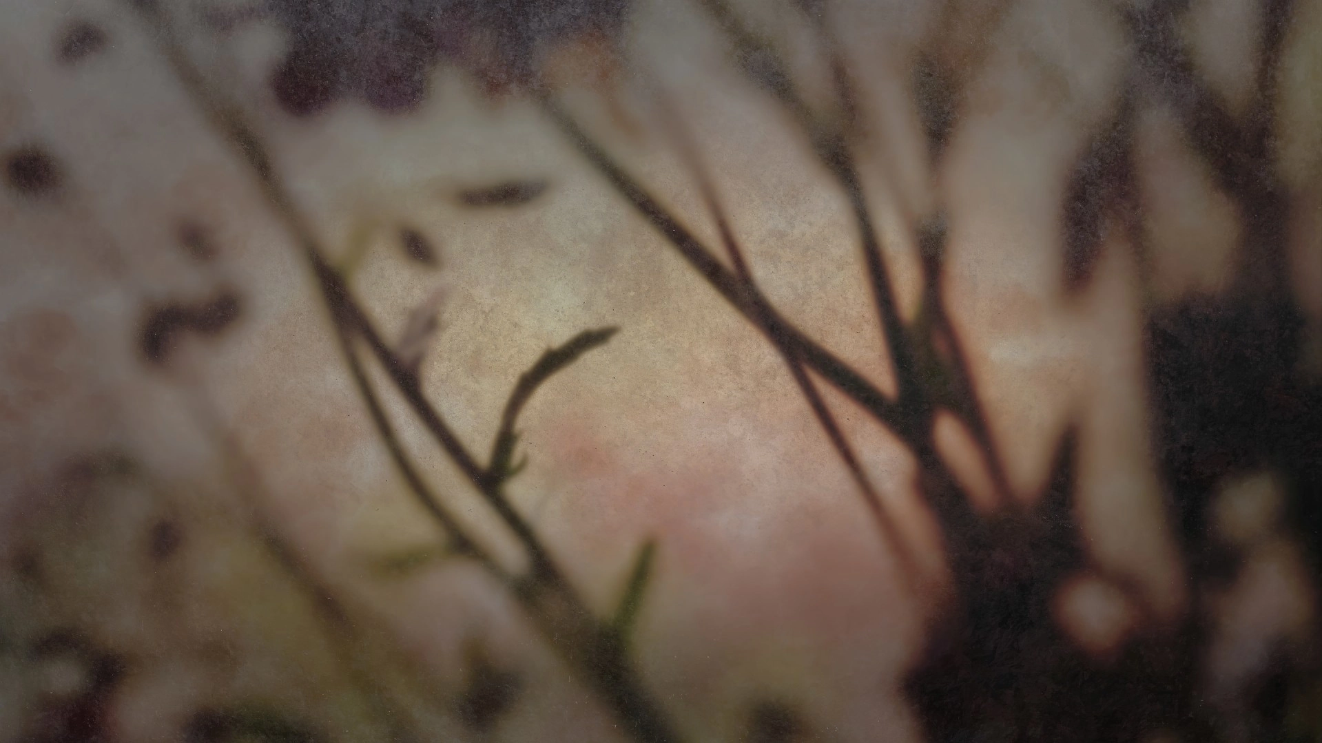 The House in Fata Morgana