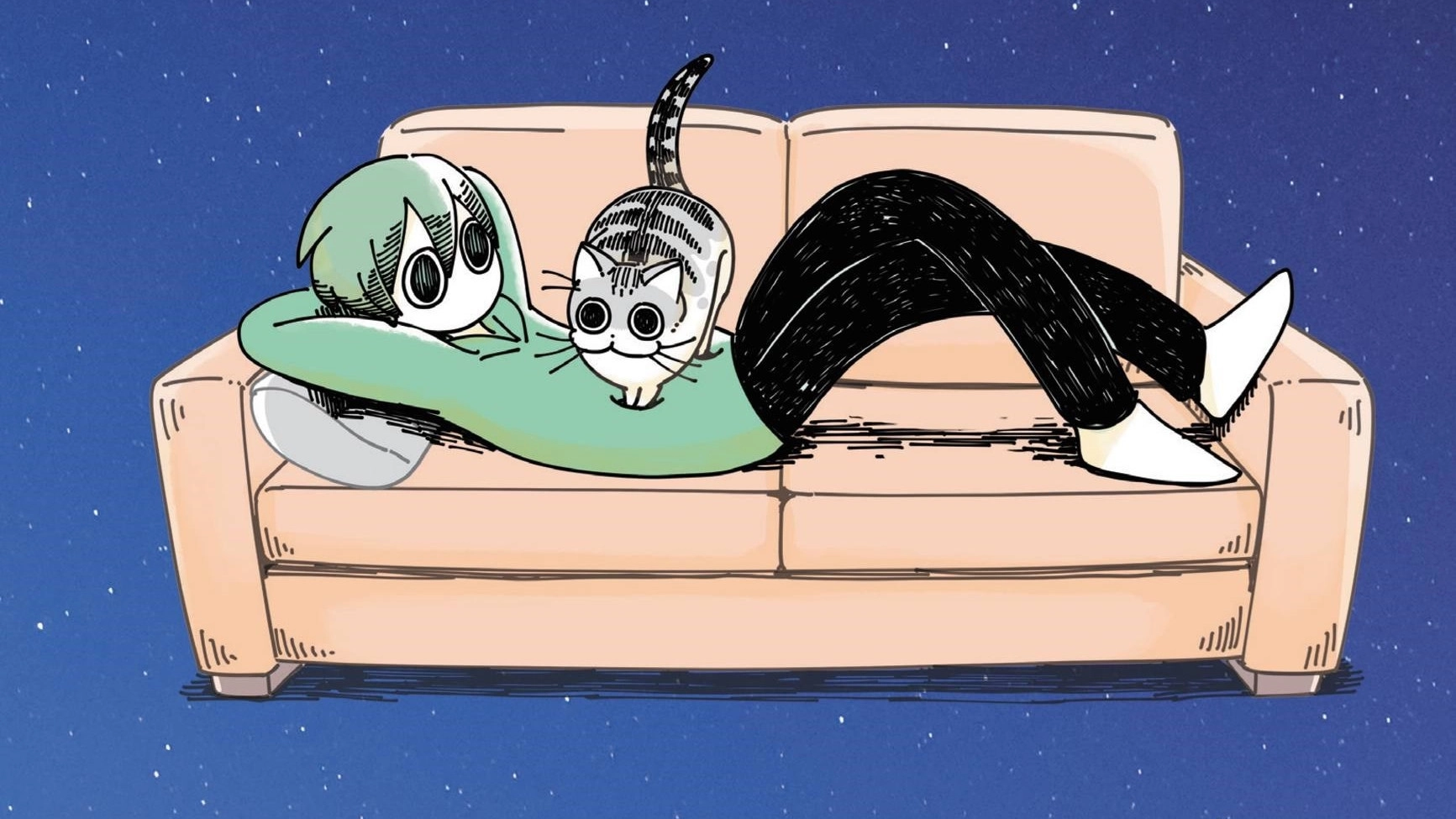 Nights with a Cat