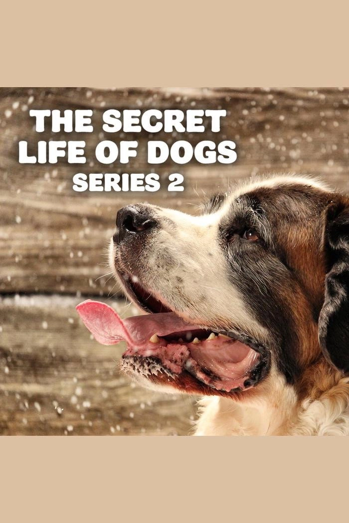 Conviction