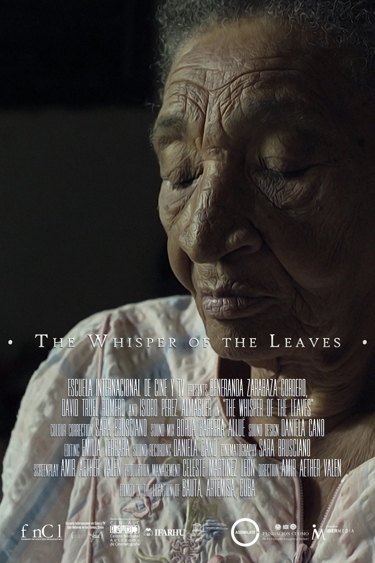 The Whisper of the Leaves