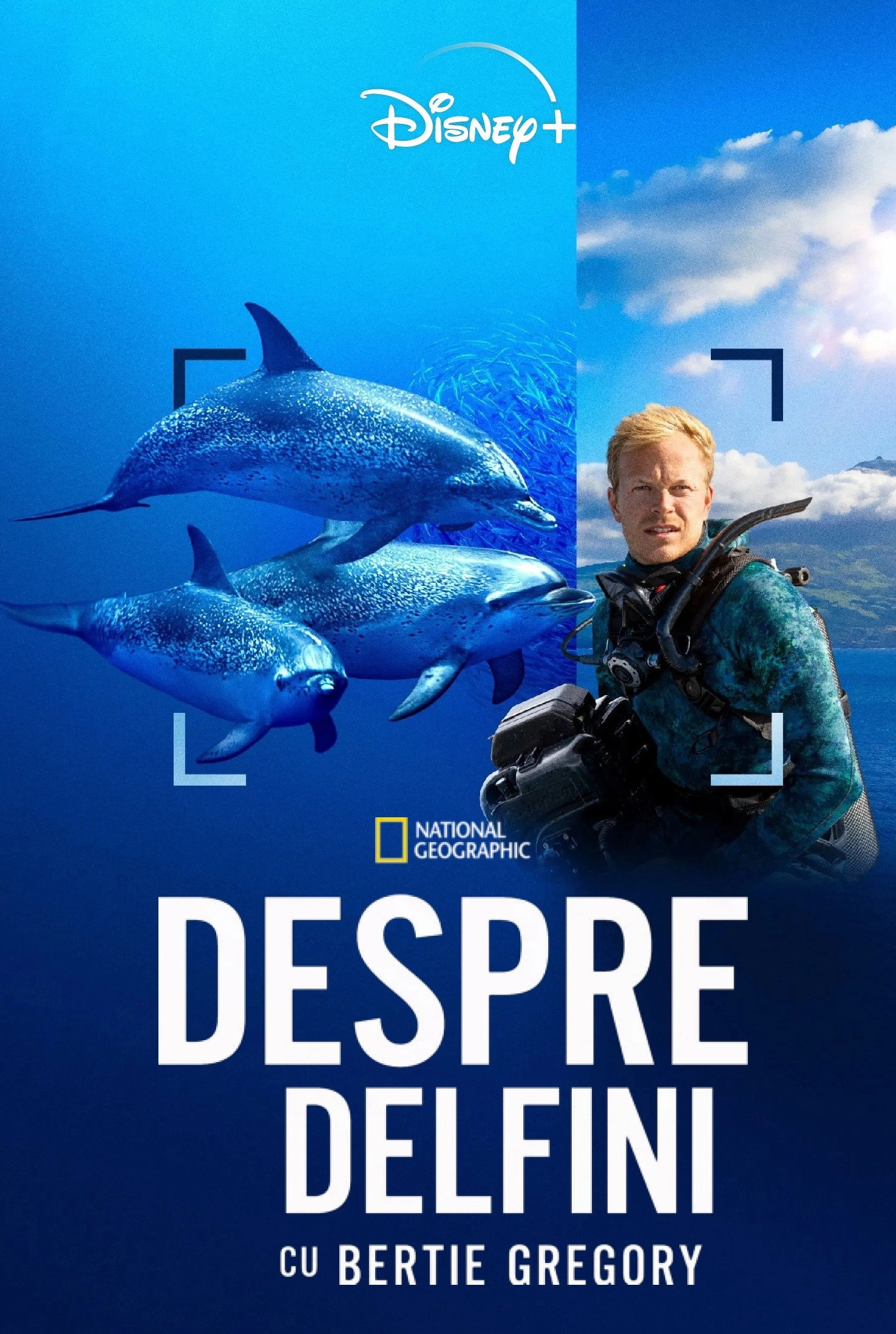 Dolphins Up Close with Bertie Gregory