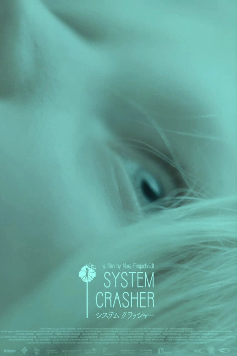 System Crasher