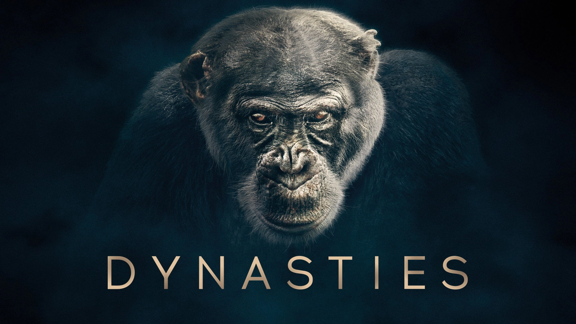 Dynasties