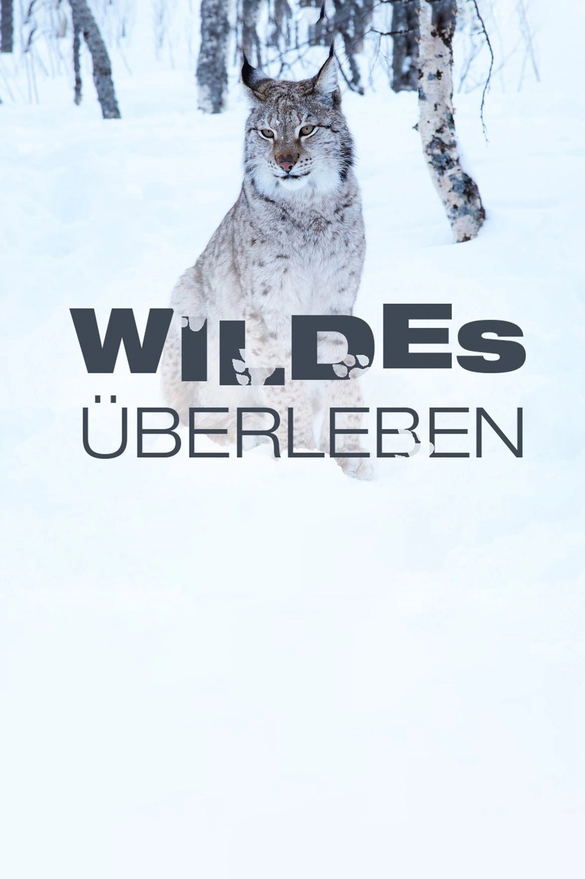 Wildest Survival