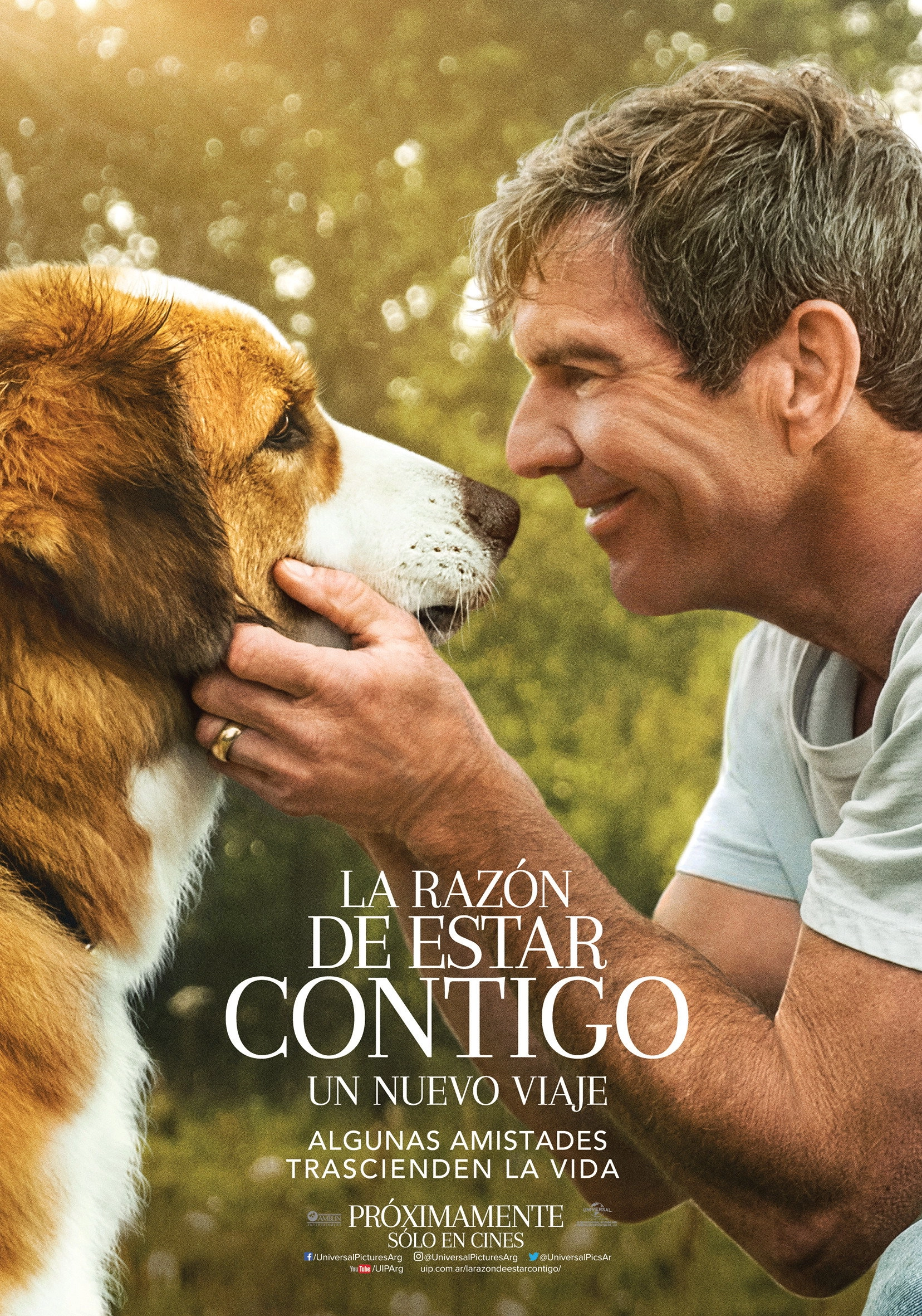 A Dog's Journey