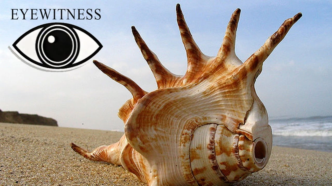 Eyewitness