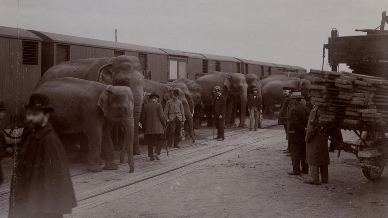 The Tragic Story of Fritz the Elephant