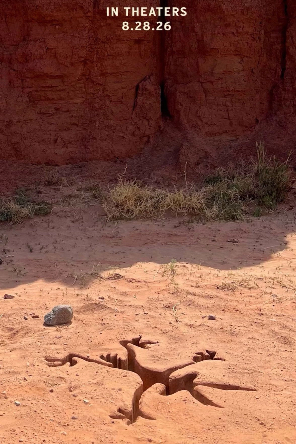Coyote vs ACME