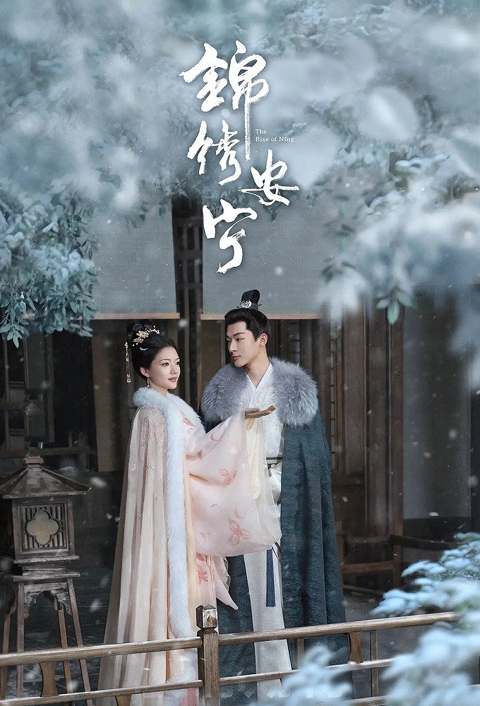 The Rise of Ning