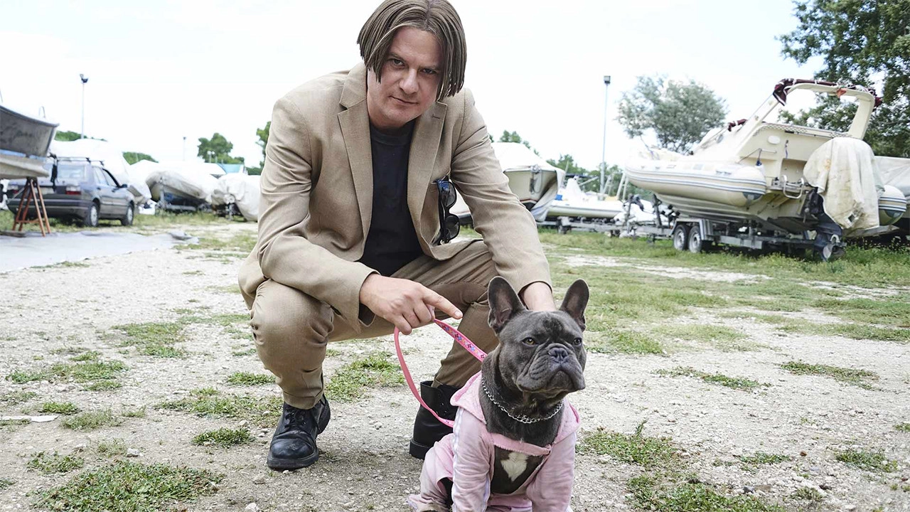 The Dog Snatch