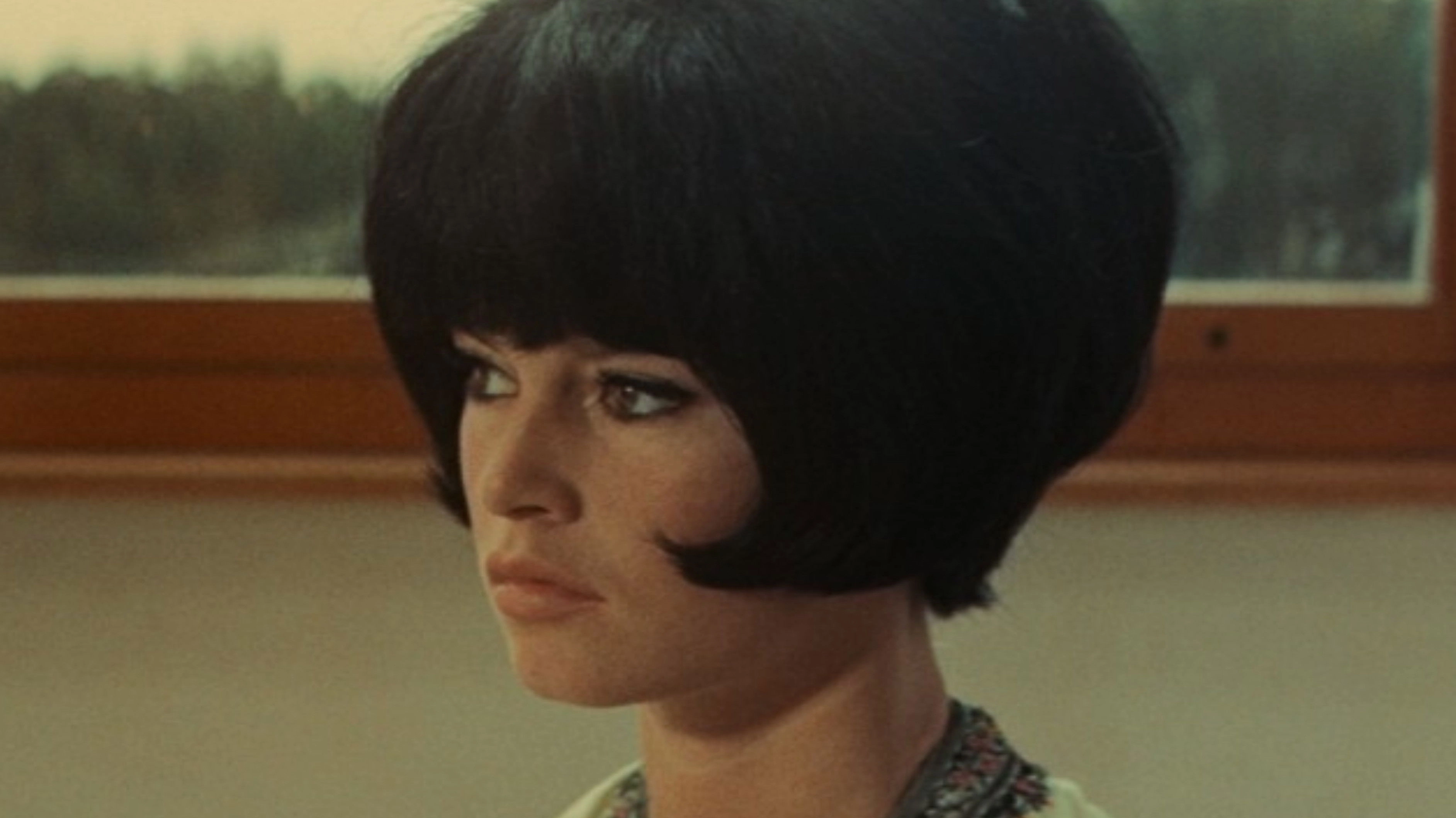 Contempt