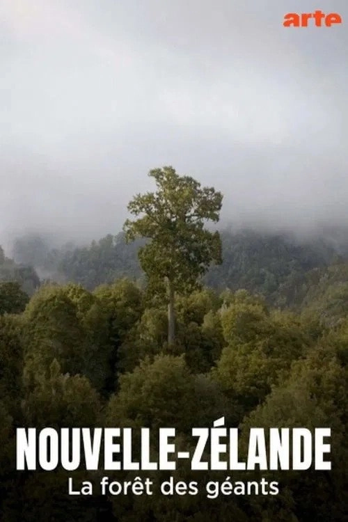 Nouvelle-Zélande, la forêt des géants