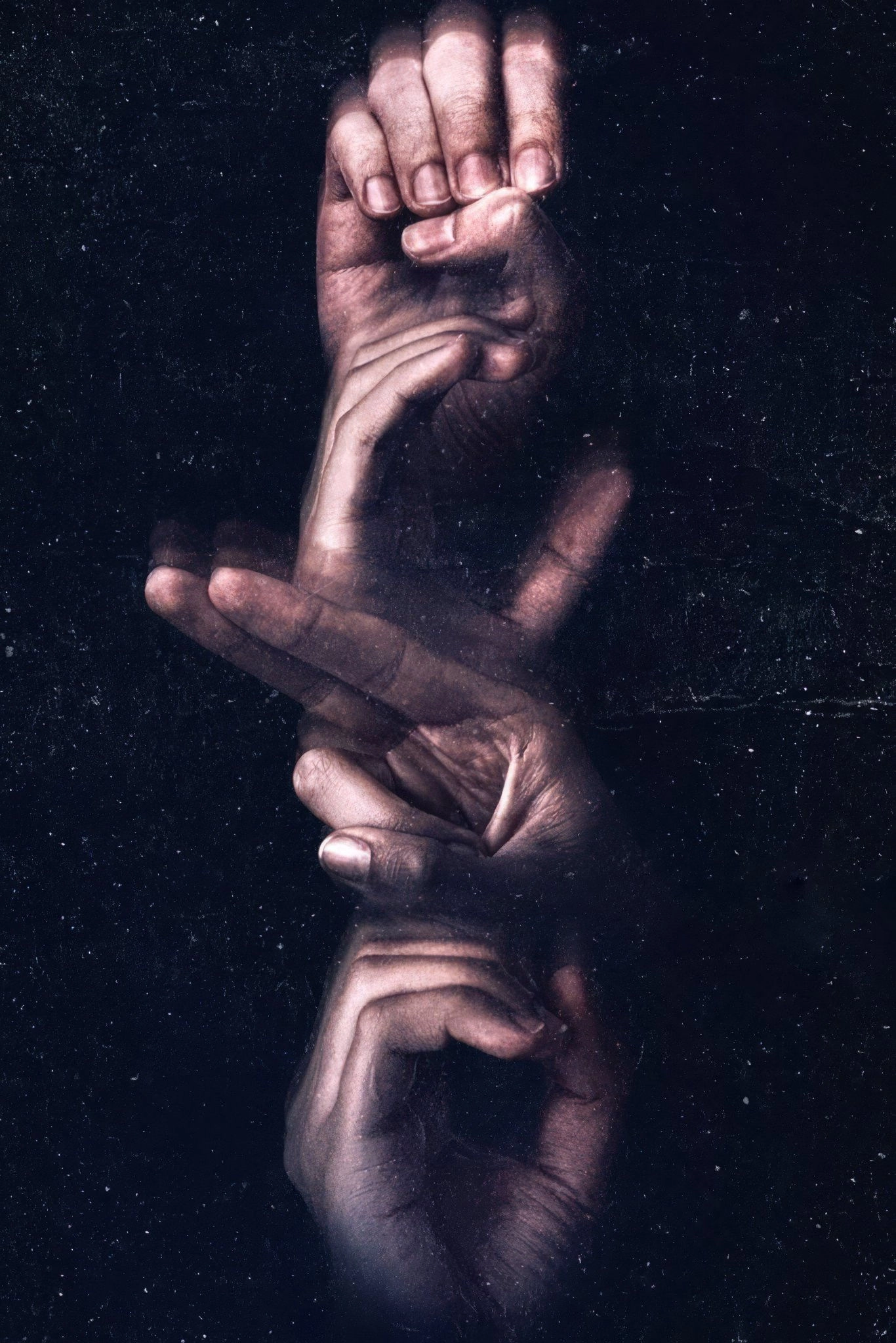 Echo