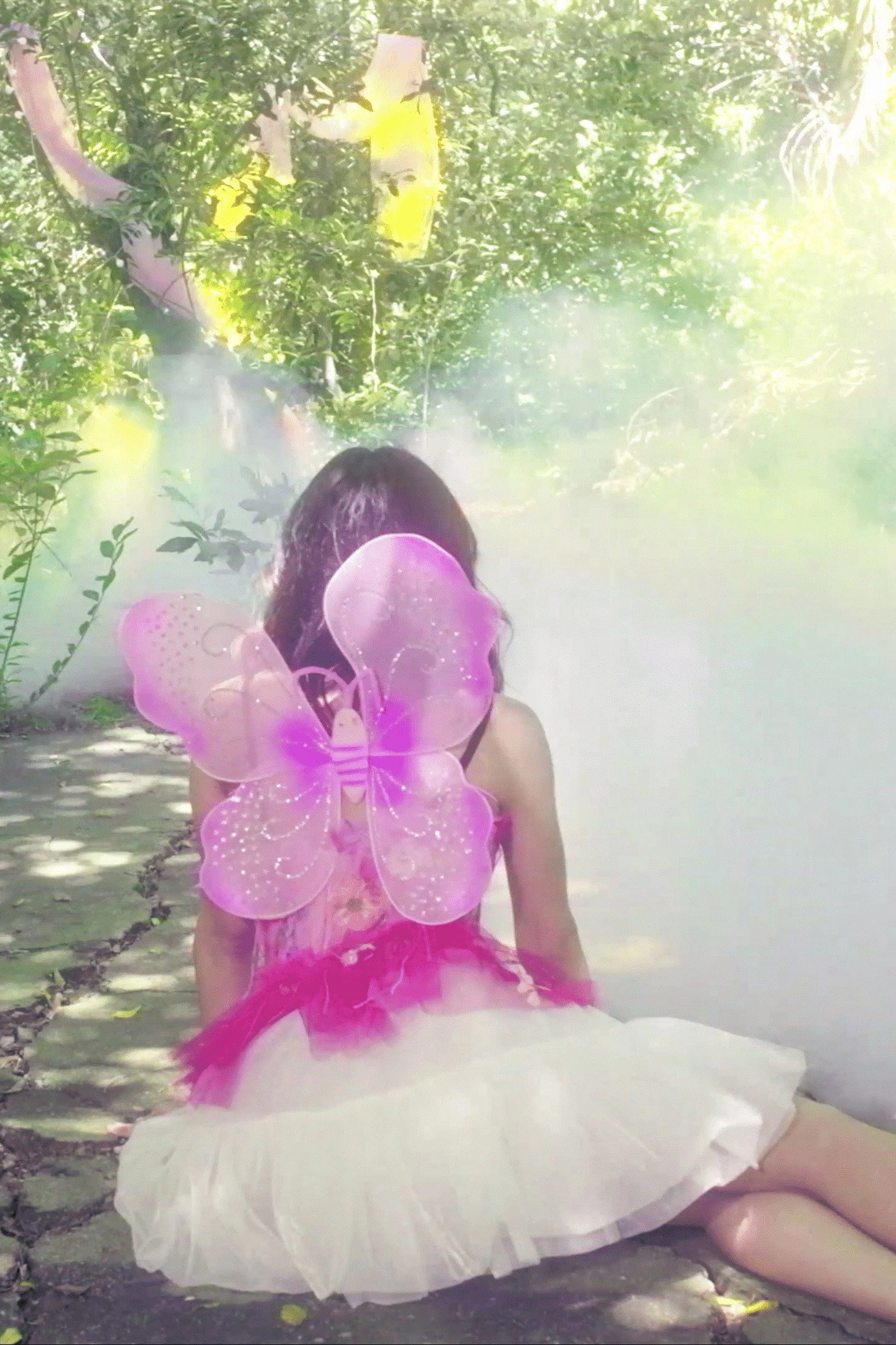 the kingdom of fairies