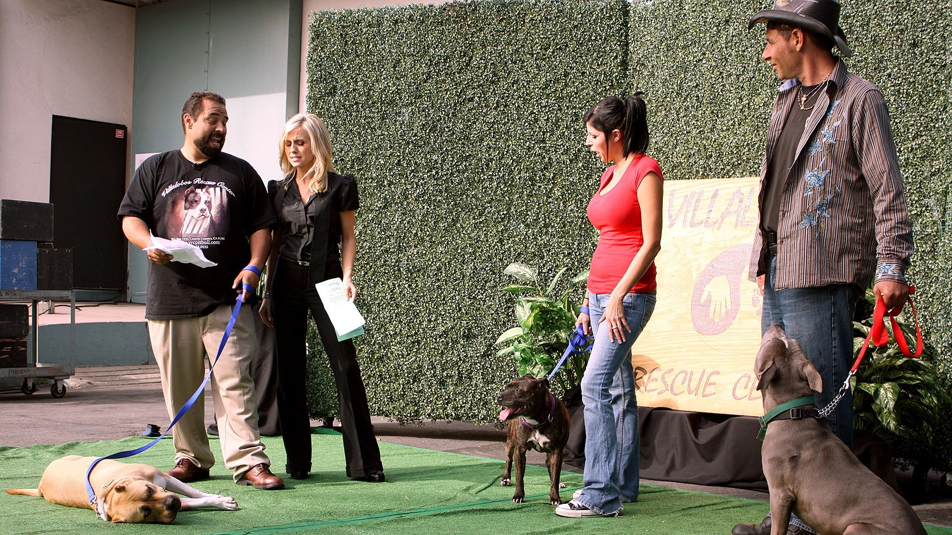 Pit Bulls and Parolees