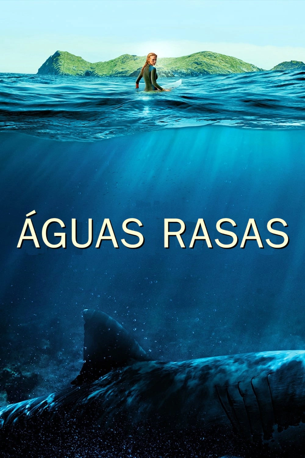 The Shallows