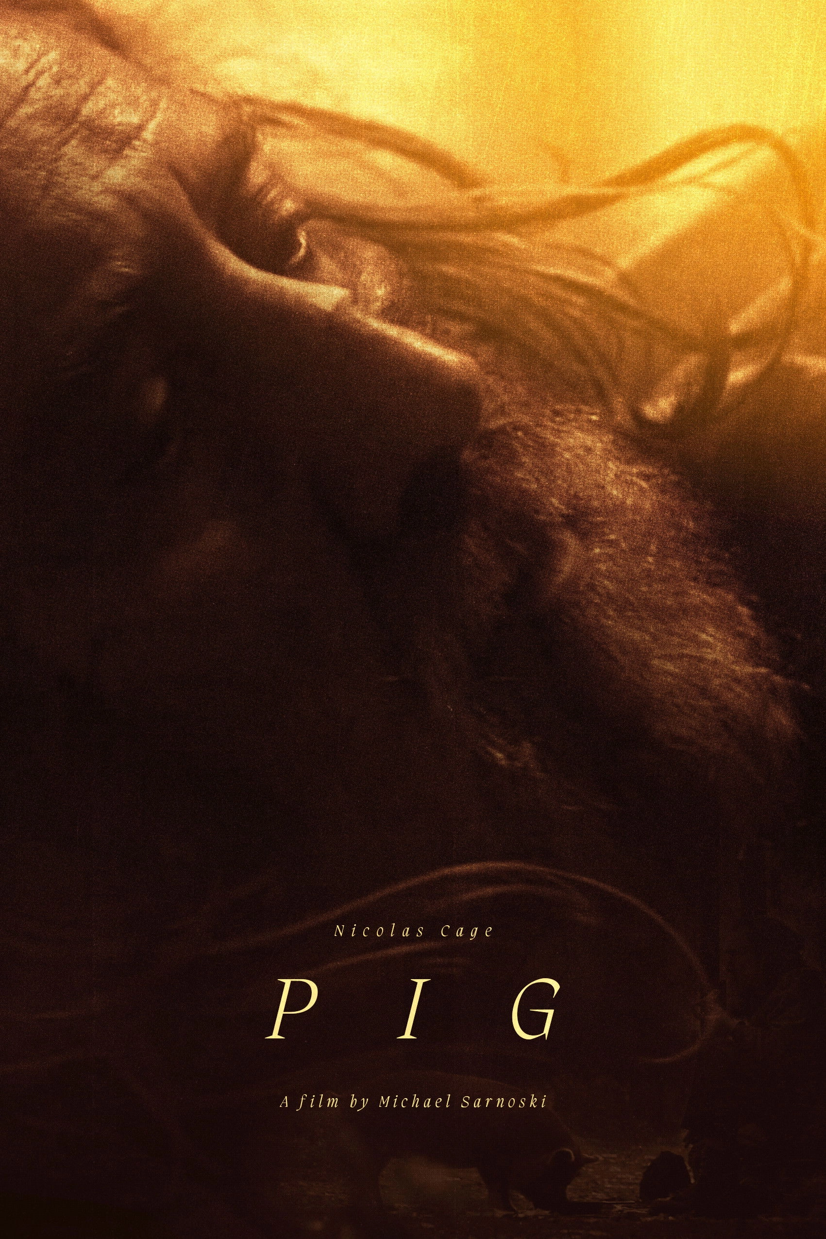 Pig