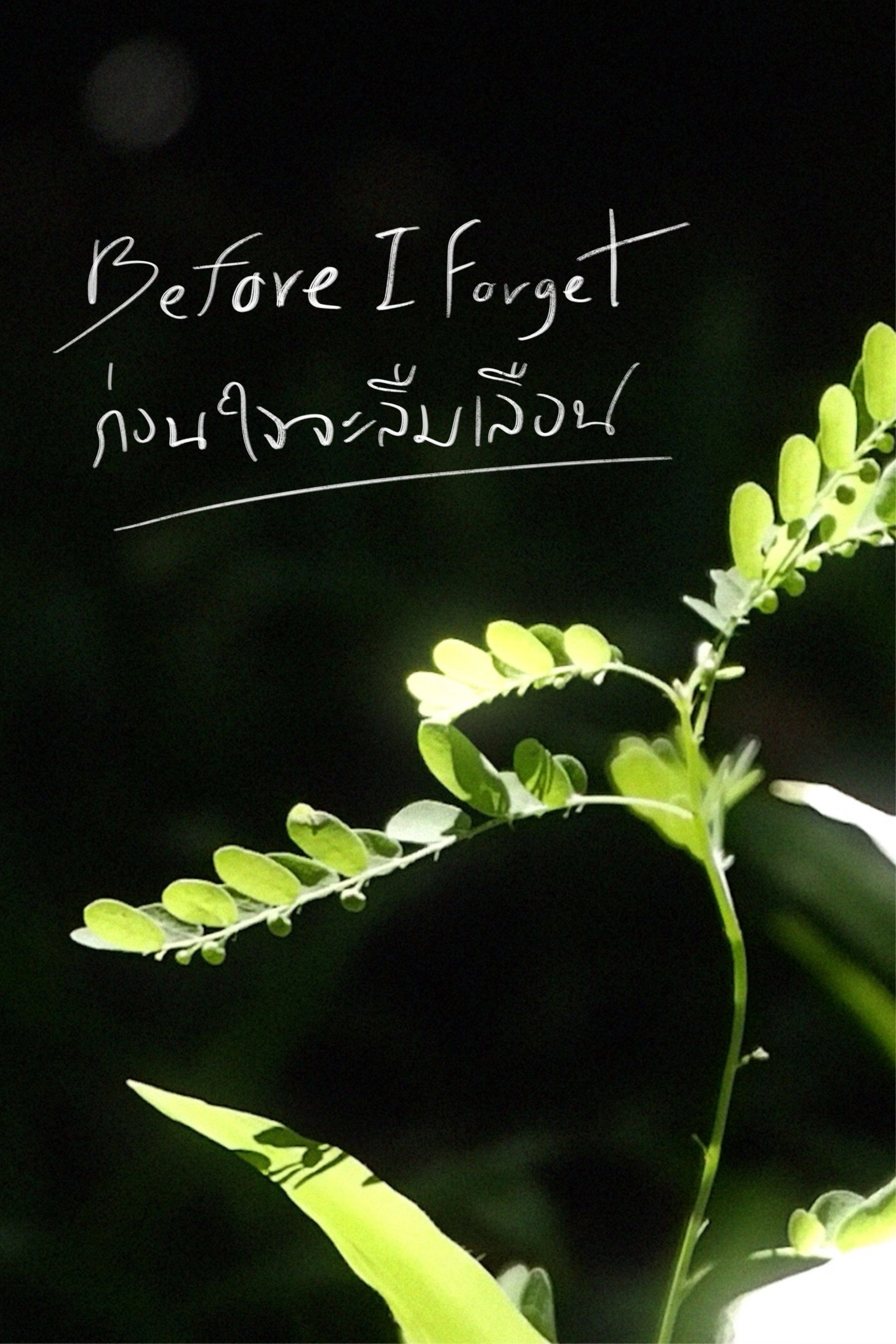 Before I Forget