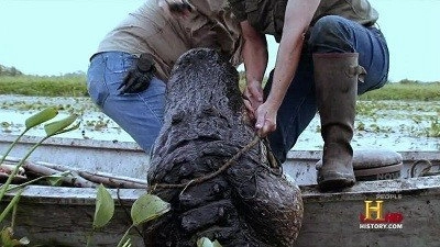 Swamp People