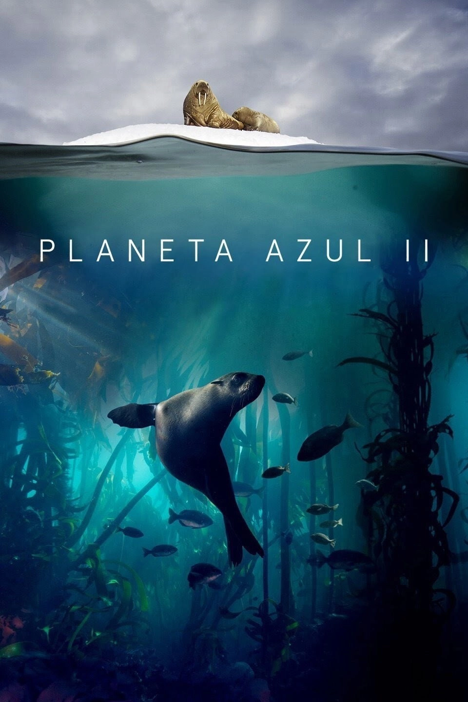 Blue Planet II