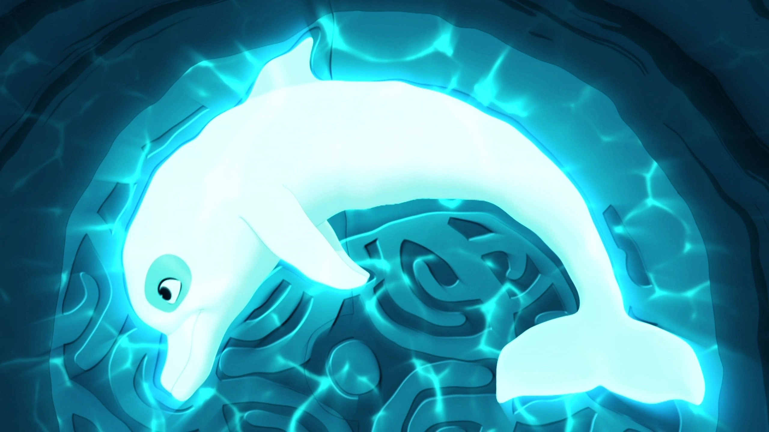Zoom the White Dolphin