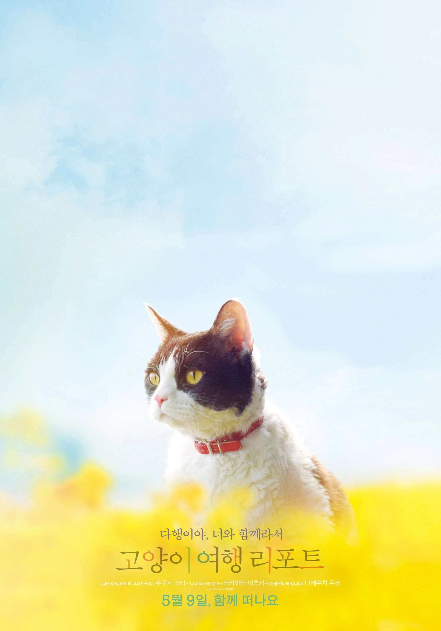 The Travelling Cat Chronicles