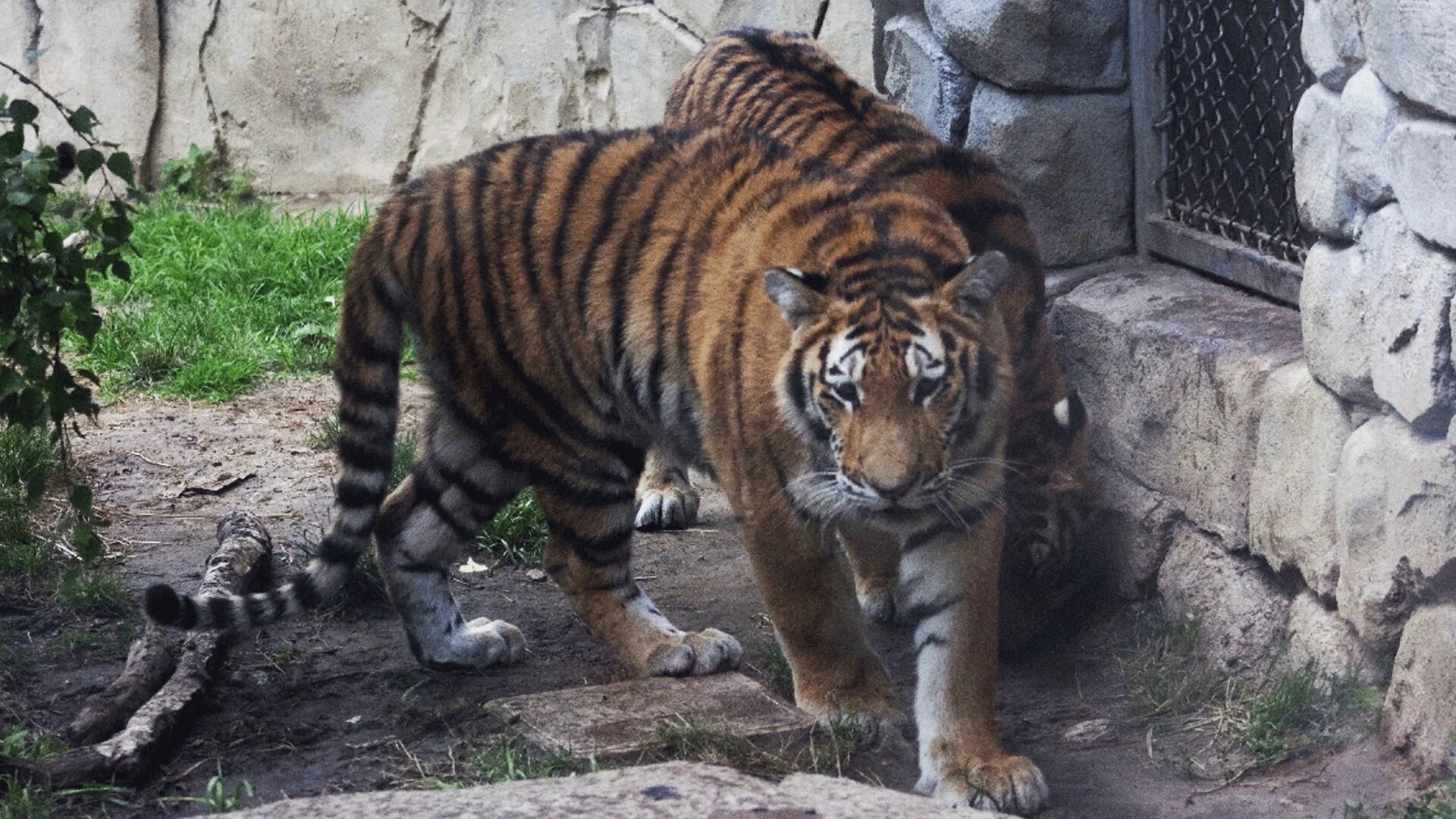 Secrets of the Zoo