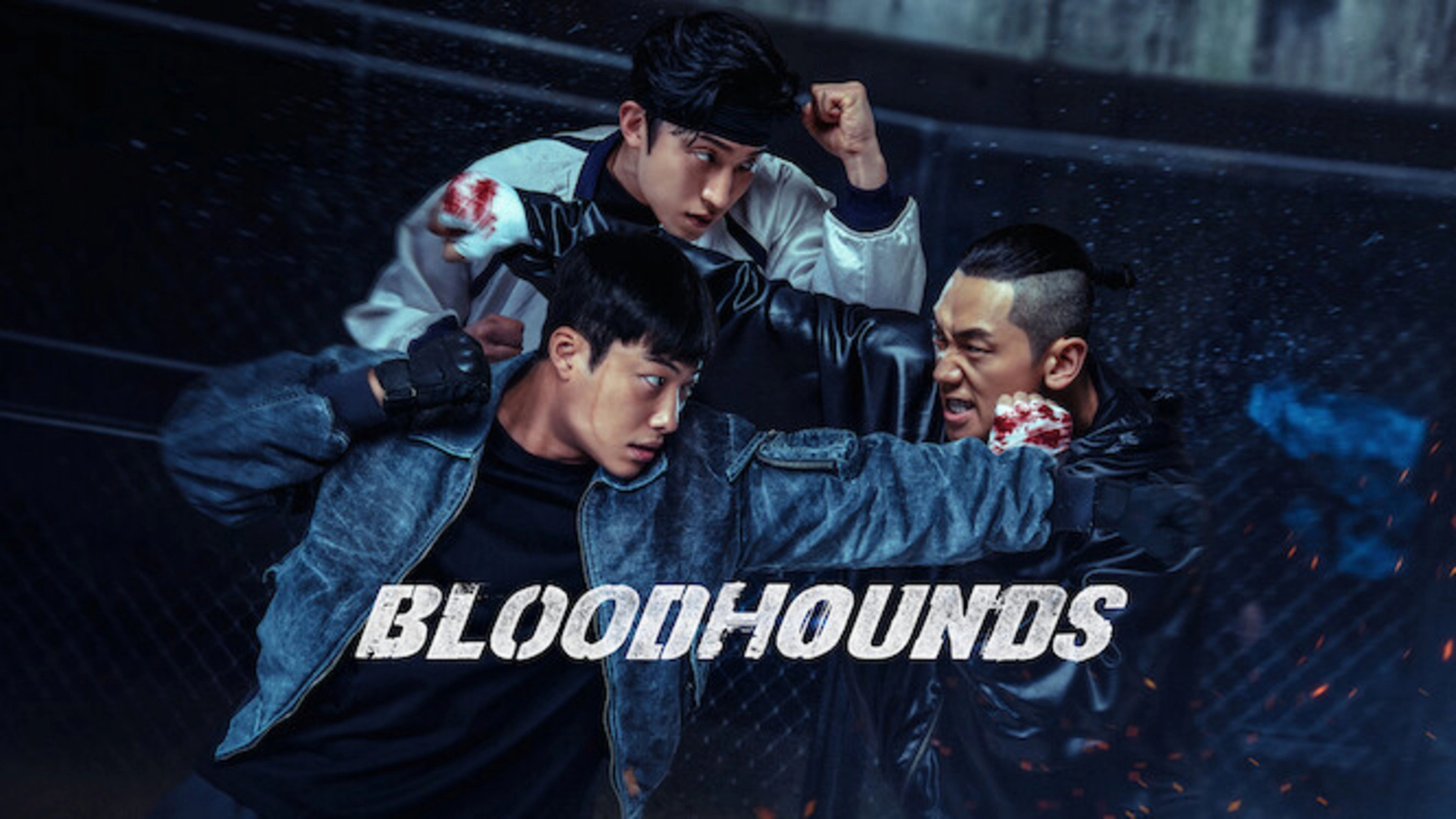 Bloodhounds