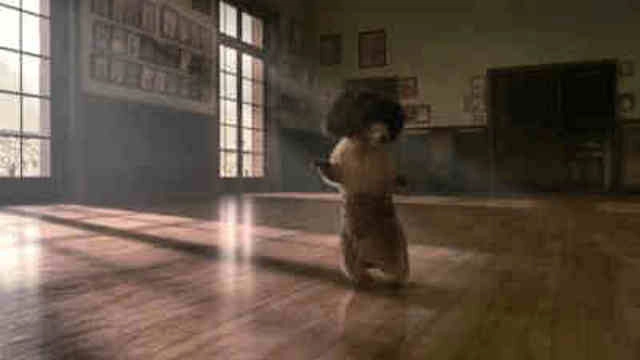 Les Marmottes
