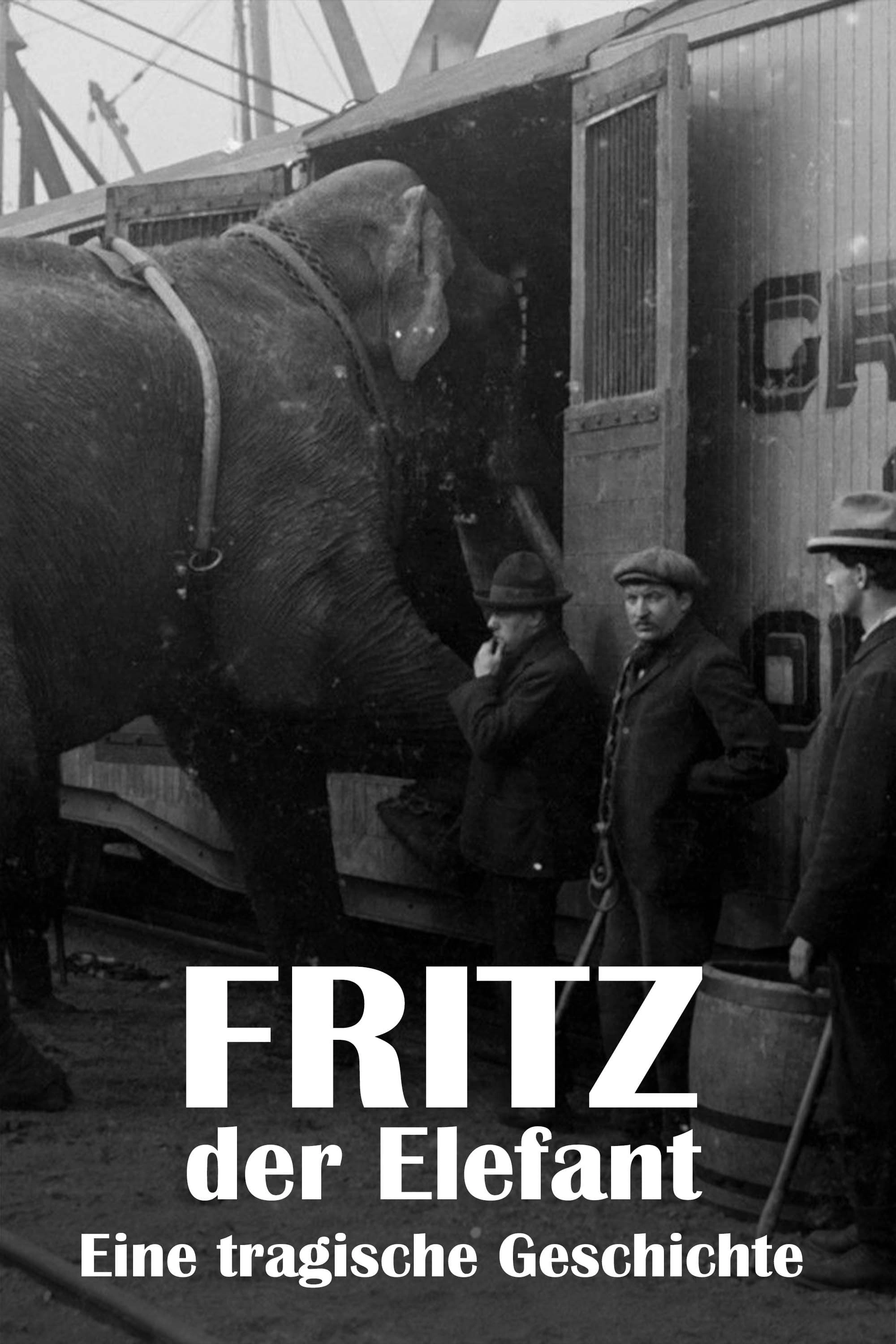 The Tragic Story of Fritz the Elephant