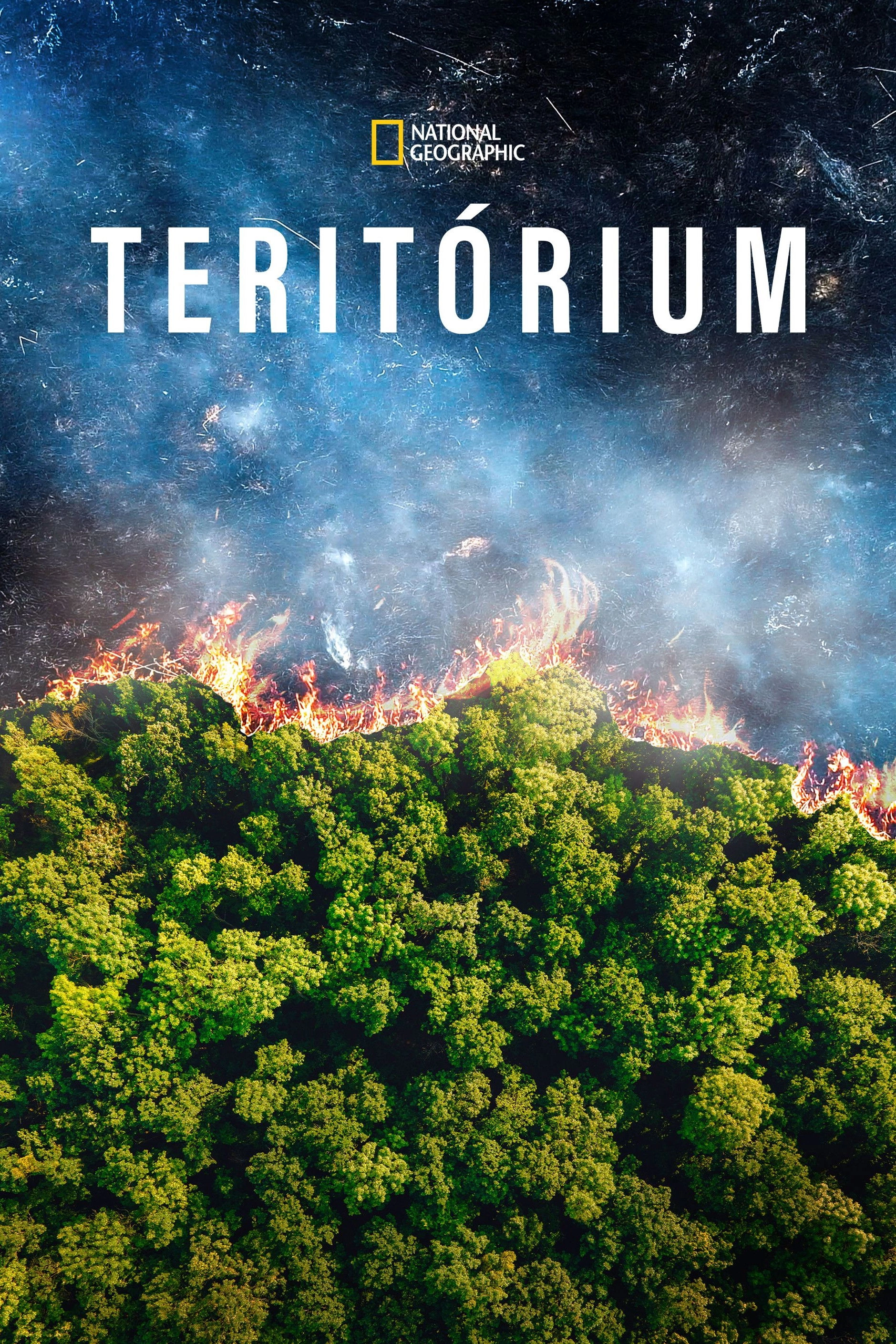 The Territory