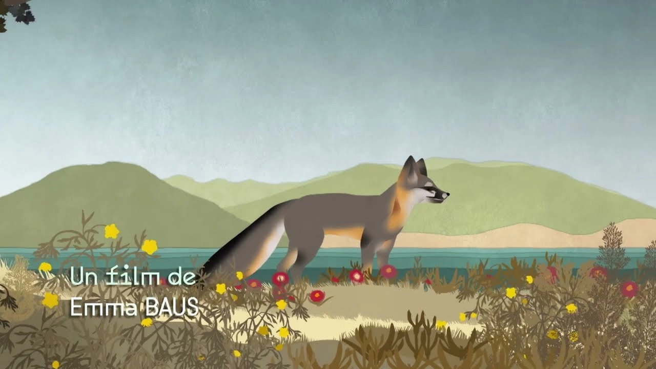 Le renard qui a sauvé son île