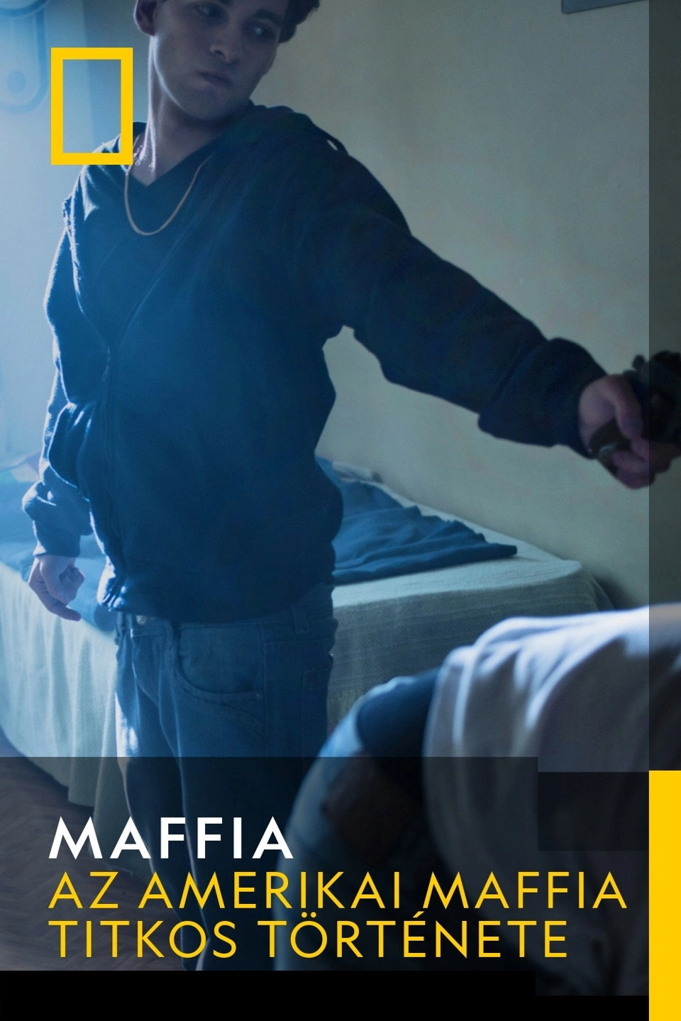 Inside the American Mob