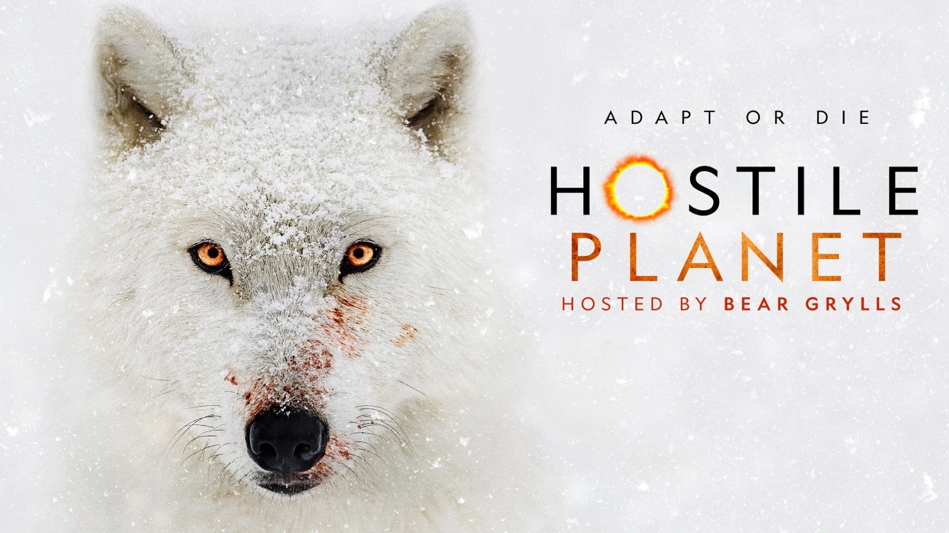 Hostile Planet