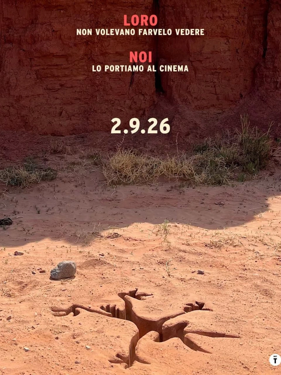 Coyote vs ACME