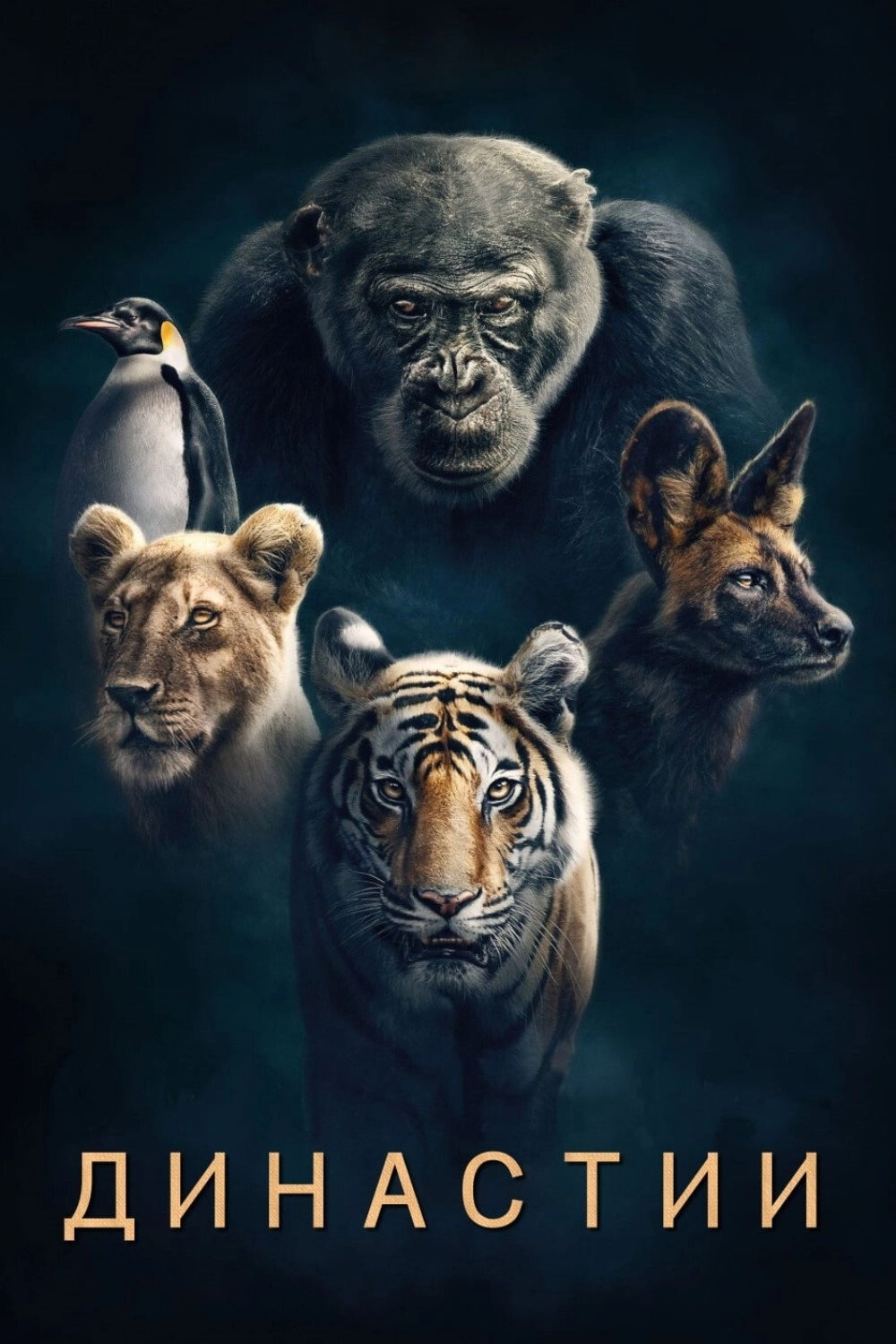 Dynasties