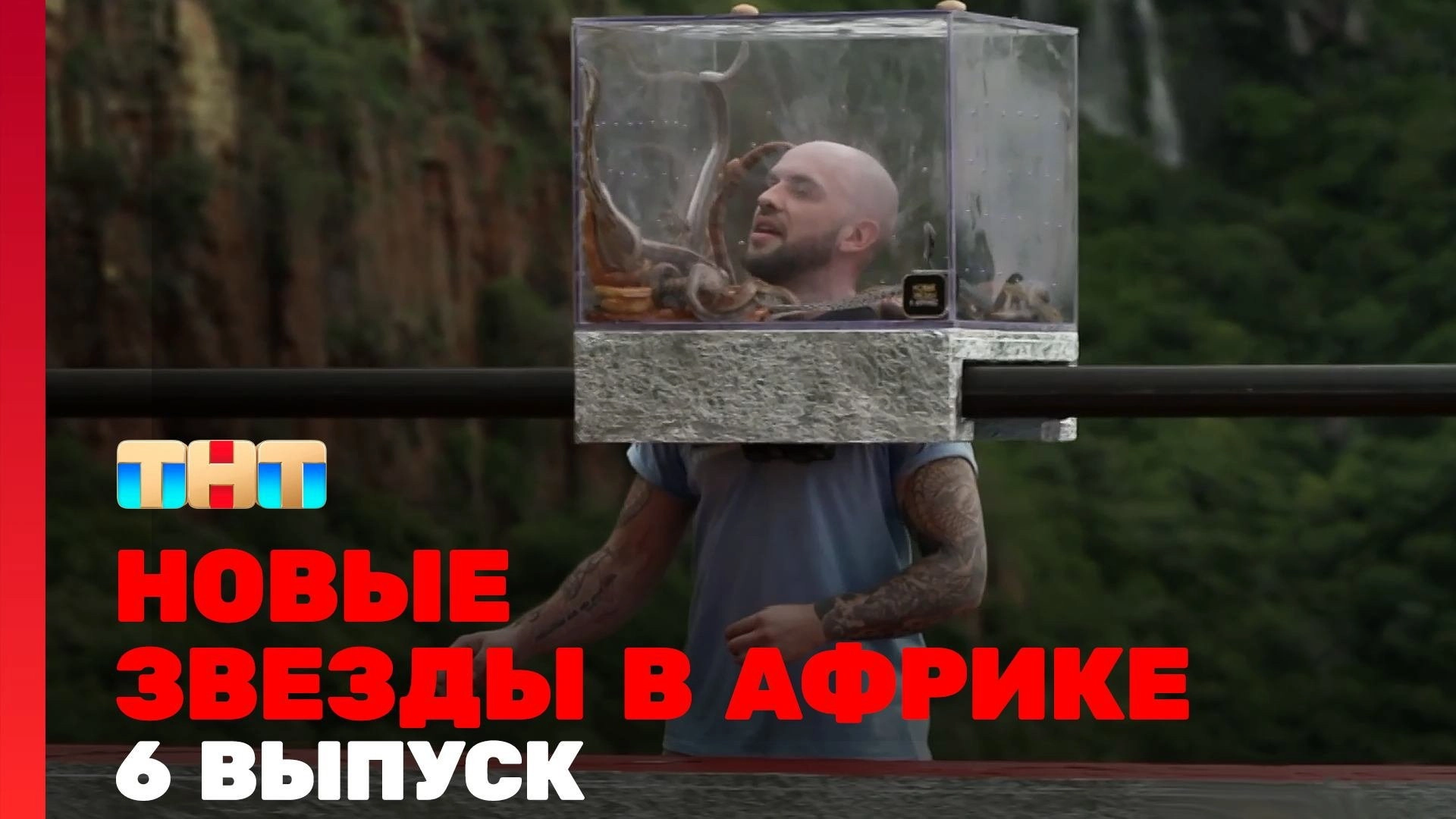 Звёзды в Африке